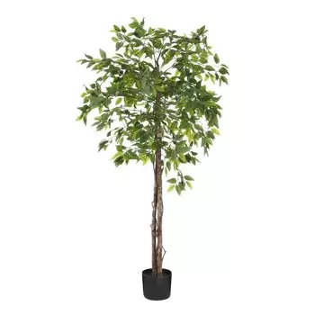 Декоративное растение Mica Decorations Ficus, зеленый
