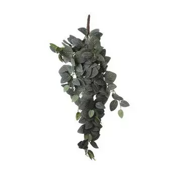 Декоративное растение Mica Decorations Fittonia, зеленый