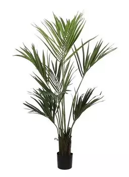 Декоративное растение Mica Decorations Kentia, зеленый