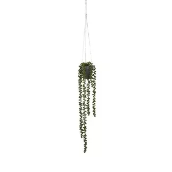 Декоративное растение Mica Decorations Senecio, зеленый
