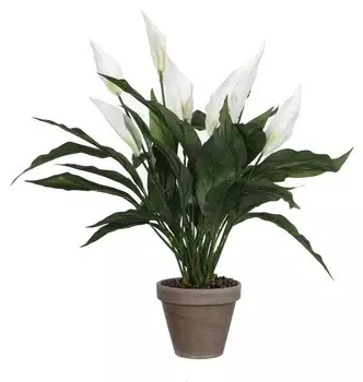 Декоративное растение Mica Decorations Spathiphyllum, белый