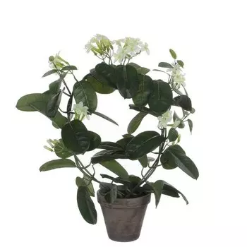 Декоративное растение Mica Decorations Stephanotis, белый