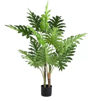 Декоративное растение PTMD Collection Philodendron, зеленый