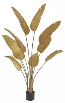 Декоративное растение Vente-unique NENDAZ цвет goldfarben
