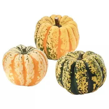 Декоративное украшение Ikea Cucurbita Various Species