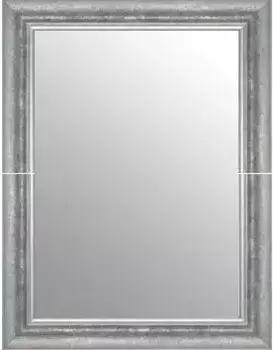 Декоративное зеркало Lenfra "Фрея", (1 шт.), настенное зеркало 64х84х3 см, цвет Silberfarben