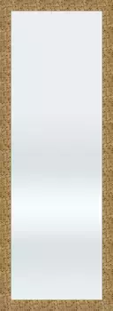 Декоративное зеркало Lenfra "Энне", (1 шт.), настенное зеркало 59х79х1,9 см, цвет champagnerfarben