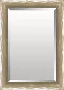 Декоративное зеркало Lenfra, настенное зеркало 60х150х2 см, цвет silberfarben