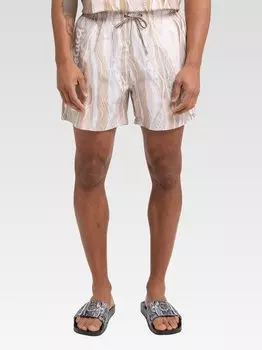 Делладио бермудских островов Carlo Colucci, серый