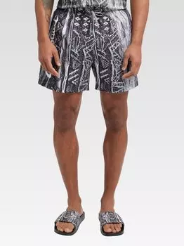 Делладио бермудских островов Carlo Colucci, серый