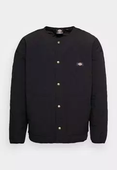 Демисезонная куртка Dickies THORSBY LINER JACKET UNISEX, цвет Black