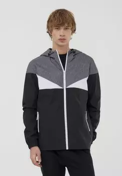 Демисезонная куртка Terranova, черный