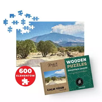 ДЕРЕВЯННЫЙ ФОТОПАЗЛ из ВАШЕГО ФОТО В ПОДАРОК 600 деталей 45х30 см HOME DRUK