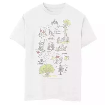 Деревянная футболка с изображением Винни-Пуха для мальчиков 8–20 лет, групповая фотография, площадью 100 акров Disney