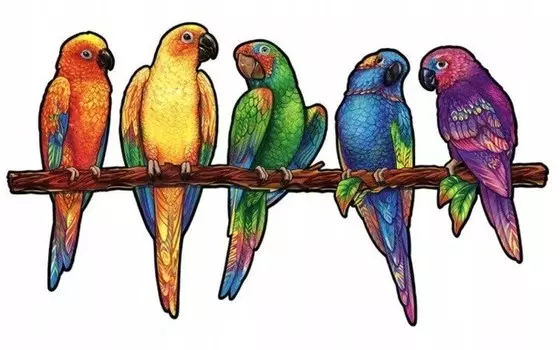 Деревянный пазл для взрослых Цвета игривые попугаи Pan i Pani Gadet