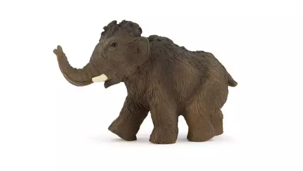 Детеныш мамонта