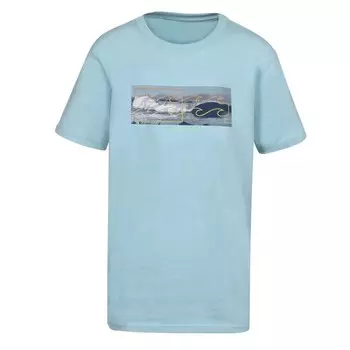 Детская блузка/футболка инверс Billabong, голубой