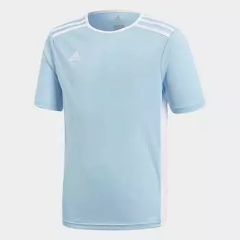 Детская футболка Adidas Entrada18, светло-голубой