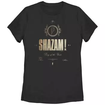 Детская футболка DC Comics Shazam с декоративным плакатом и графикой Licensed Character