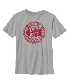 Детская футболка для мальчиков с изображением Гарри Поттера, выпускников Хогвартса и Гриффиндора Warner Bros., серый