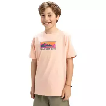 Детская футболка Ev Gradient Box Quiksilver, цвет Rosa