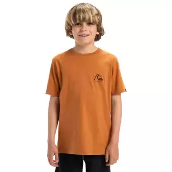 Детская футболка Evo Original Quiksilver, коричневый