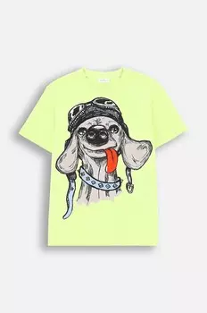 Детская футболка из хлопка крокодила Coccodrillo, зеленый