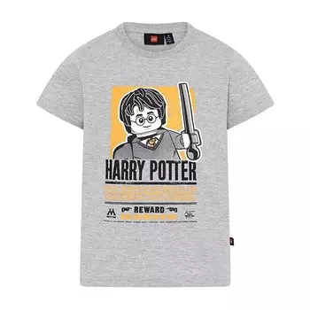 Детская футболка Lego Wear, серый