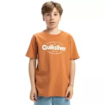 Детская футболка Quiksilver Ev Shape All Days, коричневый