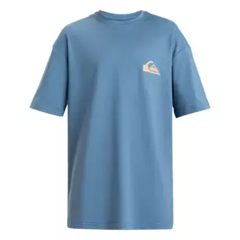 Детская футболка Quiksilver Everyday Surf, серо-голубой