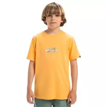 Детская футболка Quiksilver Evo Nature Magic, оранжевый