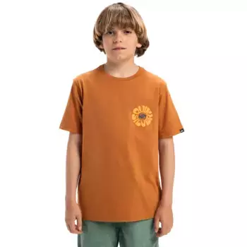 Детская футболка Quiksilver Evo Road End, коричневый