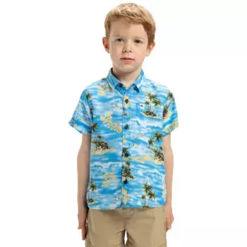 Детская футболка Quiksilver Safe Paradise, синий