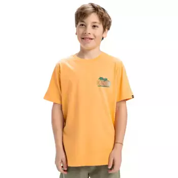 Детская футболка Quiksilver Sunny Palms Ev, оранжевый
