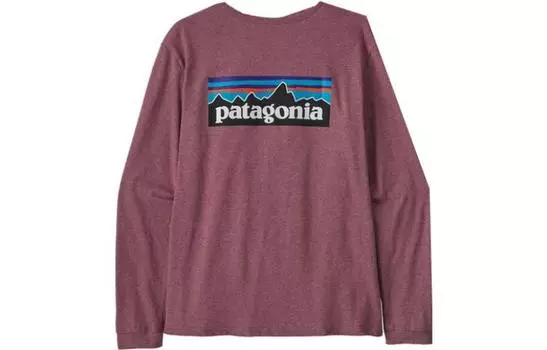 Детская футболка с длинным рукавом и графическим логотипом Patagonia, Tidepool Blue/TIBD
