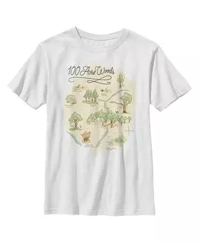 Детская футболка с изображением Винни-Пуха и карты леса площадью 100 акров для мальчиков Disney, белый