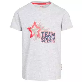 Детская футболка с короткими рукавами для мальчиков Trespass, серый