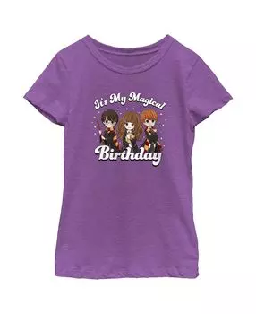 Детская футболка с милыми персонажами «Гарри Поттер» для девочек «Это мой волшебный день рождения» Warner Bros.