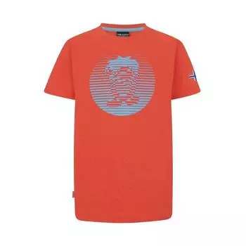 Детская футболка Troll PRO Красный/Синий Дельфин TROLLKIDS, цвет grau