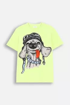 Детская хлопковая футболка Coccodrillo, зеленый