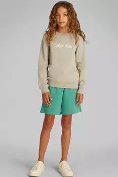 Детская хлопковая толстовка Calvin Klein Jeans, зеленый