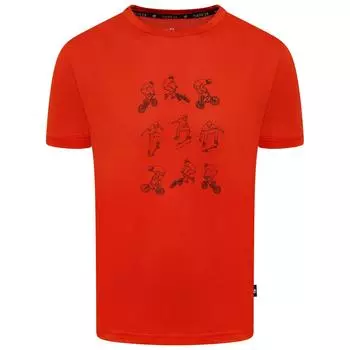 Футболка Dare 2B Rightful Tee, оранжевый