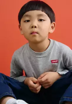 Детская рубашка с длинными рукавами Levi's "LVB LS GRAPHIC TEE SHIRT", для МАЛЬЧИКОВ Levi'S Kids, серый