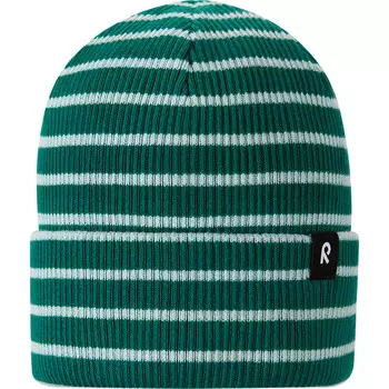 Детская шапка Reissuun reima, зеленый