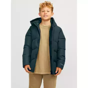 Детская стеганая куртка Jack & Jones «JJWORLD PUFFER JACKET JNR», с капюшоном Jack & Jones Junior, цвет Magical Forest