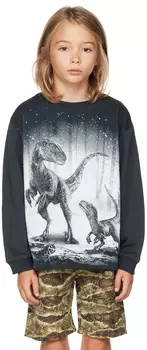 Детская темно-синяя футболка Rube Jurassic World Edition Molo
