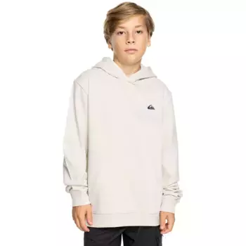Детская толстовка Basic Quiksilver, белый