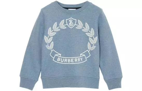 Детская толстовка Burberry, цвет Blue