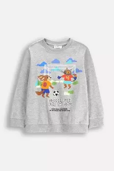 Детская толстовка Coccodrillo, серый