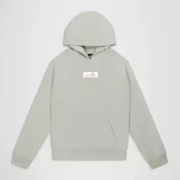 Детская толстовка Ellesse Venezian Hoodie, зеленый